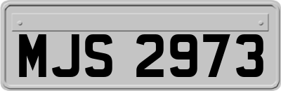 MJS2973