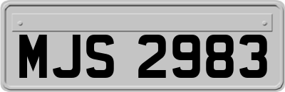 MJS2983