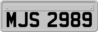 MJS2989