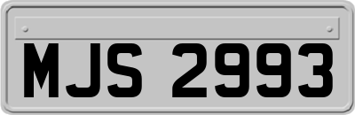 MJS2993