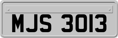MJS3013