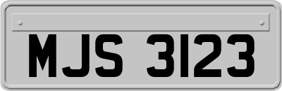 MJS3123