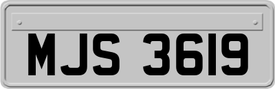 MJS3619