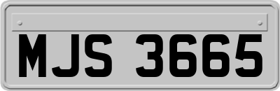 MJS3665