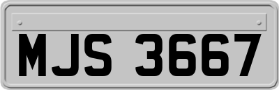 MJS3667