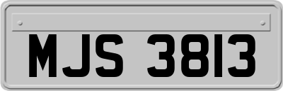 MJS3813