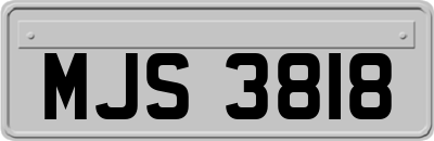 MJS3818