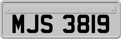MJS3819