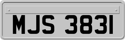 MJS3831