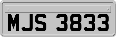 MJS3833