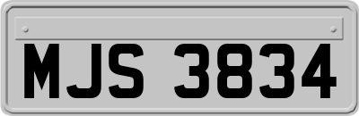 MJS3834