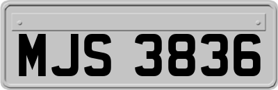 MJS3836