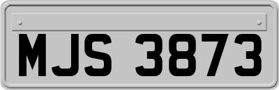 MJS3873