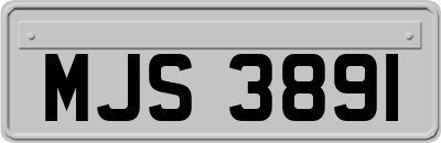MJS3891