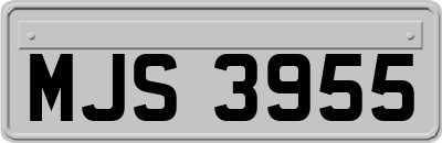 MJS3955