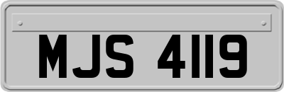 MJS4119
