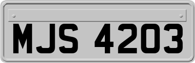 MJS4203