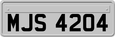 MJS4204