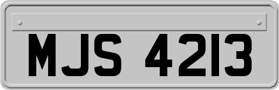 MJS4213