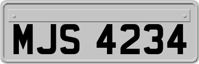 MJS4234
