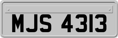 MJS4313