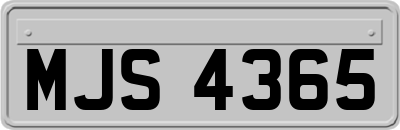 MJS4365