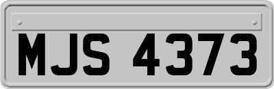 MJS4373