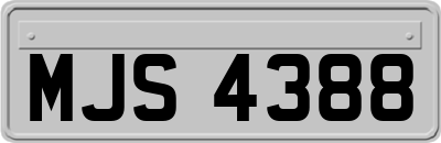 MJS4388