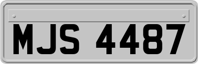 MJS4487