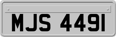 MJS4491