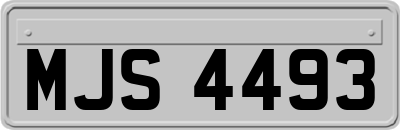 MJS4493