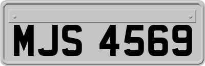 MJS4569