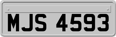 MJS4593