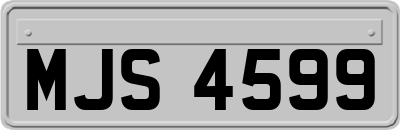 MJS4599