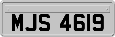 MJS4619