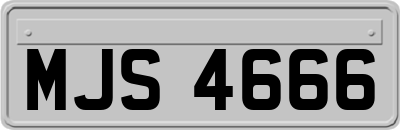 MJS4666