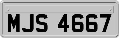 MJS4667
