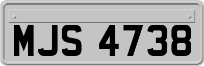 MJS4738