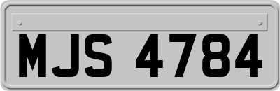 MJS4784