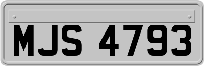 MJS4793