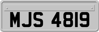 MJS4819