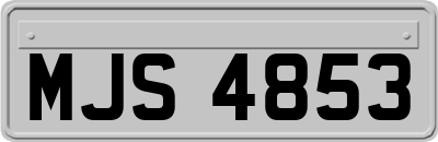 MJS4853
