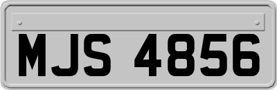 MJS4856