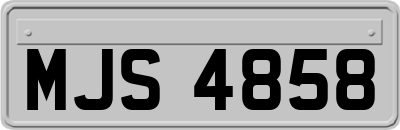 MJS4858