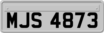 MJS4873