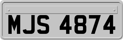 MJS4874