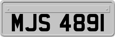 MJS4891