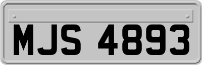 MJS4893