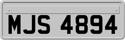 MJS4894