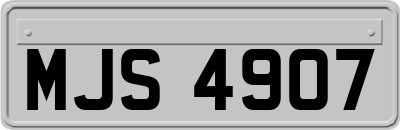 MJS4907